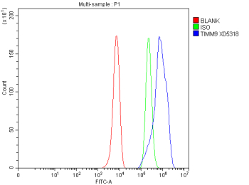 Flow Cytometry analysis of HepG2 cells using anti-TIMM9 antibody. Overlay histogram showing HepG2 cells stained with (Blue line). To facilitate intracellular staining, cells were fixed with 4% paraformaldehyde and permeabilized with permeabilization buffer. The cells were blocked with 10% normal goat serum. And then incubated with rabbit anti-TIMM9 antibody (1 ug/million cells) for 30 min at 20oC. DyLight 488 conjugated goat anti-rabbit IgG (5-10 ug/million cells) was used as secondary antibody for 30 minutes at 20oC. Isotype control antibody (Green line) was rabbit IgG (1 ug/million cells) used under the same conditions. Unlabelled sample without incubation with primary antibody and secondary antibody (Red line) was used as a blank control.