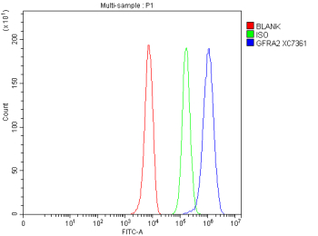 Flow Cytometry analysis of HepG2 cells using anti-GFRA2 antibody. Overlay histogram showing HepG2 cells stained with (Blue line). The cells were fixed with 4% paraformaldehyde and blocked with 10% normal goat serum. And then incubated with rabbit anti-GFRA2 antibody (1 ug/million cells) for 30 min at 20oC. DyLight 488 conjugated goat anti-rabbit IgG (5-10 ug/million cells) was used as secondary antibody for 30 minutes at 20oC. Isotype control antibody (Green line) was rabbit IgG (1 ug/million cells) used under the same conditions. Unlabelled sample without incubation with primary antibody and secondary antibody (Red line) was used as a blank control.