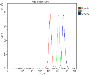 Flow Cytometry analysis of PC-3 cells using anti-SPOPL antibody. Overlay histogram showing PC-3 cells stained with (Blue line). To facilitate intracellular staining, cells were fixed with 4% paraformaldehyde and permeabilized with permeabilization buffer. The cells were blocked with 10% normal goat serum. And then incubated with rabbit anti-SPOPL antibody (1 ug/million cells) for 30 min at 20oC. DyLight 488 conjugated goat anti-rabbit IgG (5-10 ug/million cells) was used as secondary antibody for 30 minutes at 20oC. Isotype control antibody (Green line) was rabbit IgG (1 ug/million cells) used under the same conditions. Unlabelled sample without incubation with primary antibody and secondary antibody (Red line) was used as a blank control.