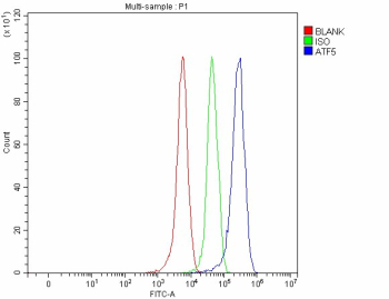 Flow Cytometry analysis of 293T cells using anti-ATF5 antibody. Overlay histogram showing 293T cells stained with (Blue line). To facilitate intracellular staining, cells were fixed with 4% paraformaldehyde and permeabilized with permeabilization buffer. The cells were blocked with 10% normal goat serum. And then incubated with rabbit anti-ATF5 antibody (1 ug/million cells) for 30 min at 20oC. DyLight 488 conjugated goat anti-rabbit IgG (5-10 ug/million cells) was used as secondary antibody for 30 minutes at 20oC. Isotype control antibody (Green line) was rabbit IgG (1 ug/million cells) used under the same conditions. Unlabelled sample without incubation with primary antibody and secondary antibody (Red line) was used as a blank control.