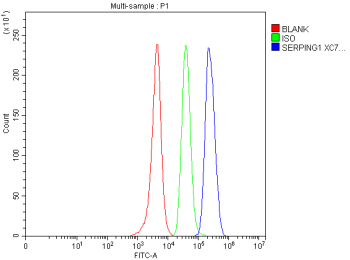Flow Cytometry analysis of SH-SY5Y cells using anti-C1 Inhibitor (C1-INH) antibody. Overlay histogram showing SH-SY5Y cells stained with (Blue line). The cells were fixed with 4% paraformaldehyde and blocked with 10% normal goat serum. And then incubated with rabbit anti-C1 Inhibitor (C1-INH) antibody (1 ug/million cells) for 30 min at 20oC. DyLight 488 conjugated goat anti-rabbit IgG (5-10 ug/million cells) was used as secondary antibody for 30 minutes at 20oC. Isotype control antibody (Green line) was rabbit IgG (1 ug/million cells) used under the same conditions. Unlabelled sample without incubation with primary antibody and secondary antibody (Red line) was used as a blank control.