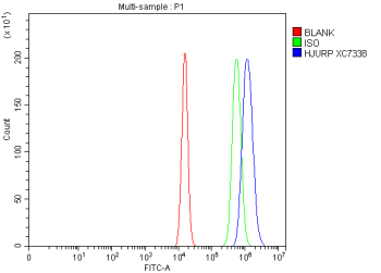 Flow Cytometry analysis of U2OS cells using anti-HJURP antibody. Overlay histogram showing U2OS cells stained with (Blue line). To facilitate intracellular staining, cells were fixed with 4% paraformaldehyde and permeabilized with permeabilization buffer. The cells were blocked with 10% normal goat serum. And then incubated with rabbit anti-HJURP antibody (1 ug/million cells) for 30 min at 20oC. DyLight 488 conjugated goat anti-rabbit IgG (5-10 ug/million cells) was used as secondary antibody for 30 minutes at 20oC. Isotype control antibody (Green line) was rabbit IgG (1 ug/million cells) used under the same conditions. Unlabelled sample without incubation with primary antibody and secondary antibody (Red line) was used as a blank control.