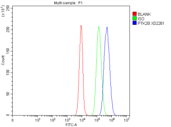 Flow Cytometry analysis of cells using anti-PTK2B antibody. Overlay histogram showing cells stained with (Blue line). To facilitate intracellular staining, cells were fixed with 4% paraformaldehyde and permeabilized with permeabilization buffer. The cells were blocked with 10% normal goat serum. And then incubated with rabbit anti-PTK2B antibody (1 ug/million cells) for 30 min at 20oC. DyLight 488 conjugated goat anti-rabbit IgG (5-10 ug/million cells) was used as secondary antibody for 30 minutes at 20oC. Isotype control antibody (Green line) was rabbit IgG (1 ug/million cells) used under the same conditions. Unlabelled sample without incubation with primary antibody and secondary antibody (Red line) was used as a blank control.