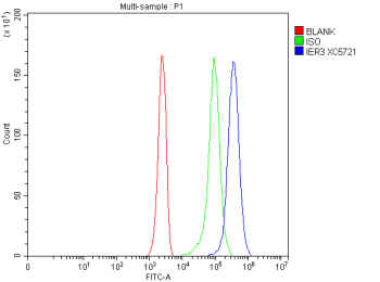 Flow Cytometry analysis of Jurkat cells using anti-IER3 antibody. Overlay histogram showing Jurkat cells stained with (Blue line). The cells were fixed with 4% paraformaldehyde and blocked with 10% normal goat serum. And then incubated with rabbit anti-IER3 antibody (1 ug/million cells) for 30 min at 20oC. DyLight 488 conjugated goat anti-rabbit IgG (5-10 ug/million cells) was used as secondary antibody for 30 minutes at 20oC. Isotype control antibody (Green line) was rabbit IgG (1 ug/million cells) used under the same conditions. Unlabelled sample without incubation with primary antibody and secondary antibody (Red line) was used as a blank control.