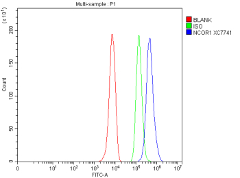 Flow Cytometry analysis of HepG2 cells using anti-NCOR1 antibody. Overlay histogram showing HepG2 cells stained with (Blue line). To facilitate intracellular staining, cells were fixed with 4% paraformaldehyde and permeabilized with permeabilization buffer. The cells were blocked with 10% normal goat serum. And then incubated with rabbit anti-NCOR1 antibody (1 ug/million cells) for 30 min at 20oC. DyLight 488 conjugated goat anti-rabbit IgG (5-10 ug/million cells) was used as secondary antibody for 30 minutes at 20oC. Isotype control antibody (Green line) was rabbit IgG (1 ug/million cells) used under the same conditions. Unlabelled sample without incubation with primary antibody and secondary antibody (Red line) was used as a blank control.