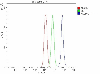 Flow cytometry analysis of fixed and permeabilized human JK cells with HADHA antibody at 1ug/million cells (blocked with goat sera); Red=cells alone, Green=isotype control, Blue= HADHA antibody.