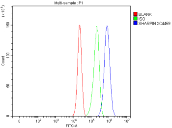 Flow Cytometry analysis of cells using anti-SHARPIN antibody. Overlay histogram showing cells stained with (Blue line). To facilitate intracellular staining, cells were fixed with 4% paraformaldehyde and permeabilized with permeabilization buffer. The cells were blocked with 10% normal goat serum. And then incubated with rabbit anti-SHARPIN antibody (1 ug/million cells) for 30 min at 20oC. DyLight 488 conjugated goat anti-rabbit IgG (5-10 ug/million cells) was used as secondary antibody for 30 minutes at 20oC. Isotype control antibody (Green line) was rabbit IgG (1 ug/million cells) used under the same conditions. Unlabelled sample without incubation with primary antibody and secondary antibody (Red line) was used as a blank control.