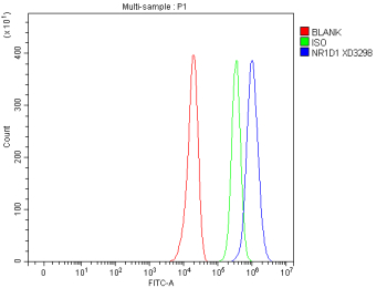 Flow Cytometry analysis of U251 cells using anti-NR1D1 antibody. Overlay histogram showing U251 cells stained with (Blue line). The cells were fixed with 4% paraformaldehyde and blocked with 10% normal goat serum. And then incubated with rabbit anti-NR1D1 antibody (1 ug/million cells) for 30 min at 20oC. DyLight 488 conjugated goat anti-rabbit IgG (5-10 ug/million cells) was used as secondary antibody for 30 minutes at 20oC. Isotype control antibody (Green line) was rabbit IgG (1 ug/million cells) used under the same conditions. Unlabelled sample without incubation with primary antibody and secondary antibody (Red line) was used as a blank control.