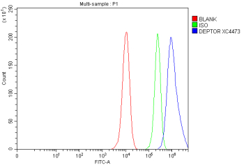 Flow Cytometry analysis of MCF-7 cells using anti-DEPTOR antibody. Overlay histogram showing MCF-7 cells stained with (Blue line). To facilitate intracellular staining, cells were fixed with 4% paraformaldehyde and permeabilized with permeabilization buffer. The cells were blocked with 10% normal goat serum. And then incubated with rabbit anti-DEPTOR antibody (1 ug/million cells) for 30 min at 20oC. DyLight 488 conjugated goat anti-rabbit IgG (5-10 ug/million cells) was used as secondary antibody for 30 minutes at 20oC. Isotype control antibody (Green line) was rabbit IgG (1 ug/million cells) used under the same conditions. Unlabelled sample without incubation with primary antibody and secondary antibody (Red line) was used as a blank control.