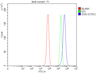 Flow Cytometry analysis of K562 cells using anti-SON antibody. Overlay histogram showing K562 cells stained with (Blue line). To facilitate intracellular staining, cells were fixed with 4% paraformaldehyde and permeabilized with permeabilization buffer. The cells were blocked with 10% normal goat serum. And then incubated with rabbit anti-SON antibody (1 ug/million cells) for 30 min at 20oC. DyLight 488 conjugated goat anti-rabbit IgG (5-10 ug/million cells) was used as secondary antibody for 30 minutes at 20oC. Isotype control antibody (Green line) was rabbit IgG (1 ug/million cells) used under the same conditions. Unlabelled sample without incubation with primary antibody and secondary antibody (Red line) was used as a blank control.