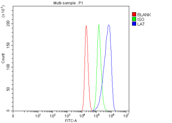 Flow Cytometry analysis of Raw264.7 cells using anti-Lat antibody. Overlay histogram showing Raw264.7 cells stained with (Blue line). The cells were fixed with 4% paraformaldehyde and blocked with 10% normal goat serum. And then incubated with rabbit anti-Lat antibody (1 ug/million cells) for 30 min at 20oC. DyLight 488 conjugated goat anti-rabbit IgG (5-10 ug/million cells) was used as secondary antibody for 30 minutes at 20oC. Isotype control antibody (Green line) was rabbit IgG (1 ug/million cells) used under the same conditions. Unlabelled sample (Red line) was also used as a control.
