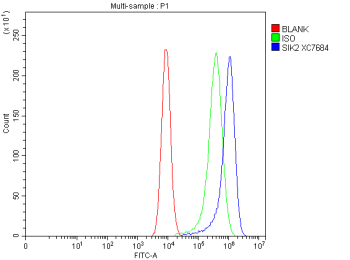 Flow Cytometry analysis of Caco-2 cells using anti-SIK2 antibody. Overlay histogram showing Caco-2 cells stained with (Blue line). To facilitate intracellular staining, cells were fixed with 4% paraformaldehyde and permeabilized with permeabilization buffer. The cells were blocked with 10% normal goat serum. And then incubated with rabbit anti-SIK2 antibody (1 ug/million cells) for 30 min at 20oC. DyLight 488 conjugated goat anti-rabbit IgG (5-10 ug/million cells) was used as secondary antibody for 30 minutes at 20oC. Isotype control antibody (Green line) was rabbit IgG (1 ug/million cells) used under the same conditions. Unlabelled sample without incubation with primary antibody and secondary antibody (Red line) was used as a blank control.