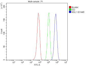 Flow Cytometry analysis of HepG2 cells using anti-NSL1 antibody. Overlay histogram showing HepG2 cells stained with (Blue line). To facilitate intracellular staining, cells were fixed with 4% paraformaldehyde and permeabilized with permeabilization buffer. The cells were blocked with 10% normal goat serum. And then incubated with rabbit anti-NSL1 antibody (1 ug/million cells) for 30 min at 20oC. DyLight 488 conjugated goat anti-rabbit IgG (5-10 ug/million cells) was used as secondary antibody for 30 minutes at 20oC. Isotype control antibody (Green line) was rabbit IgG (1 ug/million cells) used under the same conditions. Unlabelled sample without incubation with primary antibody and secondary antibody (Red line) was used as a blank control.