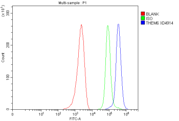 Flow Cytometry analysis of MCF-7 cells using anti-THEM6 antibody. Overlay histogram showing MCF-7 cells stained with (Blue line). The cells were fixed with 4% paraformaldehyde and blocked with 10% normal goat serum. And then incubated with rabbit anti-THEM6 antibody (1 ug/million cells) for 30 min at 20oC. DyLight 488 conjugated goat anti-rabbit IgG (5-10 ug/million cells) was used as secondary antibody for 30 minutes at 20oC. Isotype control antibody (Green line) was rabbit IgG (1 ug/million cells) used under the same conditions. Unlabelled sample without incubation with primary antibody and secondary antibody (Red line) was used as a blank control.