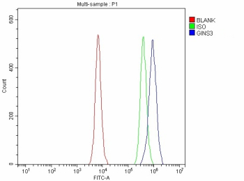 Flow Cytometry analysis of Caco-2 cells using anti-GINS3 antibody. Overlay histogram showing Caco-2 cells stained with (Blue line). To facilitate intracellular staining, cells were fixed with 4% paraformaldehyde and permeabilized with permeabilization buffer. The cells were blocked with 10% normal goat serum. And then incubated with rabbit anti-GINS3 antibody (1 ug/million cells) for 30 min at 20oC. DyLight 488 conjugated goat anti-rabbit IgG (5-10 ug/million cells) was used as secondary antibody for 30 minutes at 20oC. Isotype control antibody (Green line) was rabbit IgG (1 ug/million cells) used under the same conditions. Unlabelled sample without incubation with primary antibody and secondary antibody (Red line) was used as a blank control.