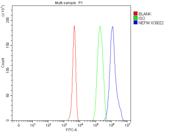Flow cytometry analysis of fixed and permeabilized human 293T cells with NEFM antibody at 1ug/million cells (blocked with goat sera); Red=cells alone, Green=isotype control, Blue= NEFM antibody.