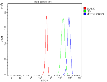 Flow Cytometry analysis of 293T cells using anti-MSTO1 antibody. Overlay histogram showing 293T cells stained with (Blue line). To facilitate intracellular staining, cells were fixed with 4% paraformaldehyde and permeabilized with permeabilization buffer. The cells were blocked with 10% normal goat serum. And then incubated with rabbit anti-MSTO1 antibody (1 ug/million cells) for 30 min at 20oC. DyLight 488 conjugated goat anti-rabbit IgG (5-10 ug/million cells) was used as secondary antibody for 30 minutes at 20oC. Isotype control antibody (Green line) was rabbit IgG (1 ug/million cells) used under the same conditions. Unlabelled sample without incubation with primary antibody and secondary antibody (Red line) was used as a blank control.