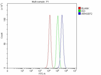 Flow Cytometry analysis of PC-3 cells using anti-ARHGEF2 antibody. Overlay histogram showing PC-3 cells stained with (Blue line). To facilitate intracellular staining, cells were fixed with 4% paraformaldehyde and permeabilized with permeabilization buffer. The cells were blocked with 10% normal goat serum. And then incubated with rabbit anti-ARHGEF2 antibody (1 ug/million cells) for 30 min at 20oC. DyLight 488 conjugated goat anti-rabbit IgG (5-10 ug/million cells) was used as secondary antibody for 30 minutes at 20oC. Isotype control antibody (Green line) was rabbit IgG (1 ug/million cells) used under the same conditions. Unlabelled sample without incubation with primary antibody and secondary antibody (Red line) was used as a blank control.