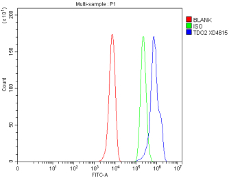 Flow Cytometry analysis of HepG2 cells using anti-TDO2 antibody. Overlay histogram showing HepG2 cells stained with (Blue line). To facilitate intracellular staining, cells were fixed with 4% paraformaldehyde and permeabilized with permeabilization buffer. The cells were blocked with 10% normal goat serum. And then incubated with rabbit anti-TDO2 antibody (1 ug/million cells) for 30 min at 20oC. DyLight 488 conjugated goat anti-rabbit IgG (5-10 ug/million cells) was used as secondary antibody for 30 minutes at 20oC. Isotype control antibody (Green line) was rabbit IgG (1 ug/million cells) used under the same conditions. Unlabelled sample without incubation with primary antibody and secondary antibody (Red line) was used as a blank control.