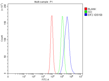 EIF2A Antibody Caco-2 FACS. Flow cytometry analysis of human Caco-2 cells stained with EIF2A antibody detecting Eukaryotic initiation factor 2A. The antibody signal (blue) shows a clear rightward shift compared to the isotype control (green) and blank control (red), indicating positive intracellular detection of EIF2A following fixation and permeabilization. This pattern is consistent with EIF2A as a cytoplasmic translation initiation factor involved in non-canonical protein synthesis and stress adaptation pathways.