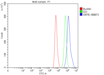 Flow Cytometry analysis of Hela cells using anti-SIRT6 antibody. Overlay histogram showing Hela cells stained with (Blue line). To facilitate intracellular staining, cells were fixed with 4% paraformaldehyde and permeabilized with permeabilization buffer. The cells were blocked with 10% normal goat serum. And then incubated with rabbit anti-SIRT6 antibody (1 ug/million cells) for 30 min at 20oC. DyLight 488 conjugated goat anti-rabbit IgG (5-10 ug/million cells) was used as secondary antibody for 30 minutes at 20oC. Isotype control antibody (Green line) was rabbit IgG (1 ug/million cells) used under the same conditions. Unlabelled sample (Red line) was also used as a control.