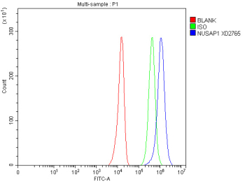 Flow cytometry analysis of fixed and permeabilized human U251 cells with NUSAP1 antibody at 1ug/million cells (blocked with goat sera); Red=cells alone, Green=isotype control, Blue= NUSAP1 antibody.