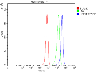 Flow Cytometry analysis of K562 cells using anti-UBE2F antibody. Overlay histogram showing K562 cells stained with (Blue line). To facilitate intracellular staining, cells were fixed with 4% paraformaldehyde and permeabilized with permeabilization buffer. The cells were blocked with 10% normal goat serum. And then incubated with rabbit anti-UBE2F antibody (1 ug/million cells) for 30 min at 20oC. DyLight 488 conjugated goat anti-rabbit IgG (5-10 ug/million cells) was used as secondary antibody for 30 minutes at 20oC. Isotype control antibody (Green line) was rabbit IgG (1 ug/million cells) used under the same conditions. Unlabelled sample without incubation with primary antibody and secondary antibody (Red line) was used as a blank control.