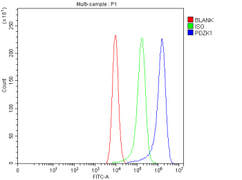 Flow Cytometry analysis of CACO-2 cells using anti-PDZK1 antibody. Overlay histogram showing CACO-2 cells stained with (Blue line). The cells were fixed with 4% paraformaldehyde and blocked with 10% normal goat serum. And then incubated with rabbit anti-PDZK1 antibody (1 ug/million cells) for 30 min at 20oC. DyLight 488 conjugated goat anti-rabbit IgG (5-10 ug/million cells) was used as secondary antibody for 30 minutes at 20oC. Isotype control antibody (Green line) was rabbit IgG (1 ug/million cells) used under the same conditions. Unlabelled sample without incubation with primary antibody and secondary antibody (Red line) was used as a blank control.