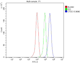Flow Cytometry analysis of human THP-1 cells using anti-CTSS antibody. Overlay histogram showing THP-1 cells stained with (Blue line). To facilitate intracellular staining, cells were fixed with 4% paraformaldehyde and permeabilized with permeabilization buffer. The cells were blocked with 10% normal goat serum. And then incubated with rabbit anti-CTSS antibody (1 ug/million cells) for 30 min at 20oC. DyLight 488 conjugated goat anti-rabbit IgG (5-10 ug/million cells) was used as secondary antibody for 30 minutes at 20oC. Isotype control antibody (Green line) was rabbit IgG (1 ug/million cells) used under the same conditions. Unlabelled sample without incubation with primary antibody and secondary antibody (Red line) was used as a blank control.