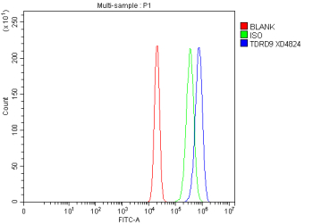 Flow Cytometry analysis of human RT4 cells using anti-TDRD9 antibody. Overlay histogram showing RT4 cells stained with (Blue line). To facilitate intracellular staining, cells were fixed with 4% paraformaldehyde and permeabilized with permeabilization buffer. The cells were blocked with 10% normal goat serum. And then incubated with rabbit anti-TDRD9 antibody (1 ug/million cells) for 30 min at 20oC. DyLight 488 conjugated goat anti-rabbit IgG (5-10 ug/million cells) was used as secondary antibody for 30 minutes at 20oC. Isotype control antibody (Green line) was rabbit IgG (1 ug/million cells) used under the same conditions. Unlabelled sample without incubation with primary antibody and secondary antibody (Red line) was used as a blank control.