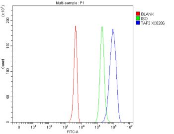 Flow cytometry analysis of fixed and permeabilized human 293T cells with TAF3 antibody at 1ug/million cells (blocked with goat sera); Red=cells alone, Green=isotype control, Blue= TAF3 antibody.