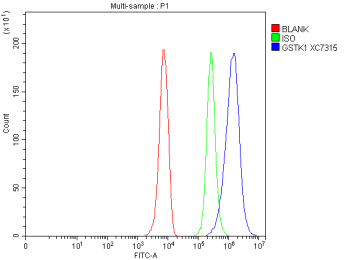 Flow Cytometry analysis of HepG2 cells using anti-GSTK1 antibody. Overlay histogram showing HepG2 cells stained with (Blue line). To facilitate intracellular staining, cells were fixed with 4% paraformaldehyde and permeabilized with permeabilization buffer. The cells were blocked with 10% normal goat serum. And then incubated with rabbit anti-GSTK1 antibody (1 ug/million cells) for 30 min at 20oC. DyLight 488 conjugated goat anti-rabbit IgG (5-10 ug/million cells) was used as secondary antibody for 30 minutes at 20oC. Isotype control antibody (Green line) was rabbit IgG (1 ug/million cells) used under the same conditions. Unlabelled sample without incubation with primary antibody and secondary antibody (Red line) was used as a blank control.
