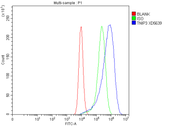 Flow Cytometry analysis of CACO-2 cells using anti-TNIP3 antibody. Overlay histogram showing CACO-2 cells stained with (Blue line). To facilitate intracellular staining, cells were fixed with 4% paraformaldehyde and permeabilized with permeabilization buffer. The cells were blocked with 10% normal goat serum. And then incubated with rabbit anti-TNIP3 antibody (1 ug/million cells) for 30 min at 20oC. DyLight 488 conjugated goat anti-rabbit IgG (5-10 ug/million cells) was used as secondary antibody for 30 minutes at 20oC. Isotype control antibody (Green line) was rabbit IgG (1 ug/million cells) used under the same conditions. Unlabelled sample without incubation with primary antibody and secondary antibody (Red line) was used as a blank control.
