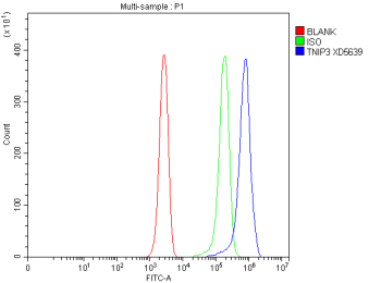Flow Cytometry analysis of Jurkat cells using anti-TNIP3 antibody. Overlay histogram showing Jurkat cells stained with (Blue line). To facilitate intracellular staining, cells were fixed with 4% paraformaldehyde and permeabilized with permeabilization buffer. The cells were blocked with 10% normal goat serum. And then incubated with rabbit anti-TNIP3 antibody (1 ug/million cells) for 30 min at 20oC. DyLight 488 conjugated goat anti-rabbit IgG (5-10 ug/million cells) was used as secondary antibody for 30 minutes at 20oC. Isotype control antibody (Green line) was rabbit IgG (1 ug/million cells) used under the same conditions. Unlabelled sample without incubation with primary antibody and secondary antibody (Red line) was used as a blank control.