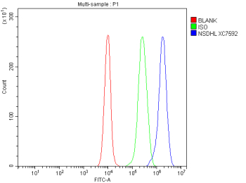 Flow Cytometry analysis of cells using anti-NSDHL antibody. Overlay histogram showing cells stained with (Blue line). To facilitate intracellular staining, cells were fixed with 4% paraformaldehyde and permeabilized with permeabilization buffer. The cells were blocked with 10% normal goat serum. And then incubated with rabbit anti-NSDHL antibody (1 ug/million cells) for 30 min at 20oC. DyLight 488 conjugated goat anti-rabbit IgG (5-10 ug/million cells) was used as secondary antibody for 30 minutes at 20oC. Isotype control antibody (Green line) was rabbit IgG (1 ug/million cells) used under the same conditions. Unlabelled sample without incubation with primary antibody and secondary antibody (Red line) was used as a blank control.