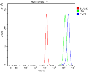 Flow Cytometry analysis of U20S cells using anti-PMEL antibody. Overlay histogram showing U20S cells stained with (Blue line). To facilitate intracellular staining, cells were fixed with 4% paraformaldehyde and permeabilized with permeabilization buffer. The cells were blocked with 10% normal goat serum. And then incubated with rabbit anti-PMEL antibody (1 ug/million cells) for 30 min at 20oC. DyLight 488 conjugated goat anti-rabbit IgG (5-10 ug/million cells) was used as secondary antibody for 30 minutes at 20oC. Isotype control antibody (Green line) was rabbit IgG (1 ug/million cells) used under the same conditions. Unlabelled sample (Red line) was also used as a control.