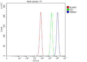 PBRM1 Antibody K562 Cell FACS. Flow Cytometry analysis of K562 cells using anti-PBRM1 antibody. Overlay histogram showing K562 cells stained with (Blue line). To facilitate intracellular staining, cells were fixed with 4% paraformaldehyde and permeabilized with permeabilization buffer. The cells were blocked with 10% normal goat serum. And then incubated with rabbit anti-PBRM1 antibody (1 ug/million cells) for 30 min at 20oC. DyLight 488 conjugated goat anti-rabbit IgG (5-10 ug/million cells) was used as secondary antibody for 30 minutes at 20oC. Isotype control antibody (Green line) was rabbit IgG (1 ug/million cells) used under the same conditions. Unlabelled sample without incubation with primary antibody and secondary antibody (Red line) was used as a blank control.