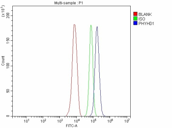 Flow Cytometry analysis of HepG2 cells using anti-PHYHD1 antibody. Overlay histogram showing HepG2 cells stained with (Blue line). To facilitate intracellular staining, cells were fixed with 4% paraformaldehyde and permeabilized with permeabilization buffer. The cells were blocked with 10% normal goat serum. And then incubated with rabbit anti-PHYHD1 antibody (1 ug/million cells) for 30 min at 20oC. DyLight 488 conjugated goat anti-rabbit IgG (5-10 ug/million cells) was used as secondary antibody for 30 minutes at 20oC. Isotype control antibody (Green line) was rabbit IgG (1 ug/million cells) used under the same conditions. Unlabelled sample without incubation with primary antibody and secondary antibody (Red line) was used as a blank control.