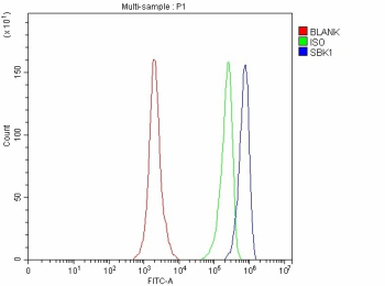 Flow Cytometry analysis of SH-SY5Y cells using anti-SBK1 antibody. Overlay histogram showing SH-SY5Y cells stained with (Blue line). To facilitate intracellular staining, cells were fixed with 4% paraformaldehyde and permeabilized with permeabilization buffer. The cells were blocked with 10% normal goat serum. And then incubated with rabbit anti-SBK1 antibody (1 ug/million cells) for 30 min at 20oC. DyLight 488 conjugated goat anti-rabbit IgG (5-10 ug/million cells) was used as secondary antibody for 30 minutes at 20oC. Isotype control antibody (Green line) was rabbit IgG (1 ug/million cells) used under the same conditions. Unlabelled sample without incubation with primary antibody and secondary antibody (Red line) was used as a blank control.