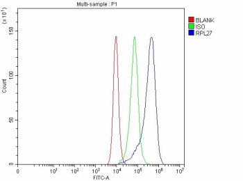Flow Cytometry analysis of CACO-2 cells using anti-RPL27 antibody. Overlay histogram showing CACO-2 cells stained with (Blue line). To facilitate intracellular staining, cells were fixed with 4% paraformaldehyde and permeabilized with permeabilization buffer. The cells were blocked with 10% normal goat serum. And then incubated with rabbit anti-RPL27 antibody (1 ug/million cells) for 30 min at 20oC. DyLight 488 conjugated goat anti-rabbit IgG (5-10 ug/million cells) was used as secondary antibody for 30 minutes at 20oC. Isotype control antibody (Green line) was rabbit IgG (1 ug/million cells) used under the same conditions. Unlabelled sample without incubation with primary antibody and secondary antibody (Red line) was used as a blank control.
