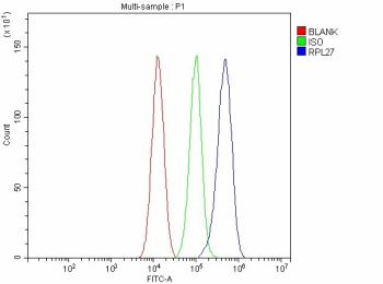 Flow Cytometry analysis of NIH/3T3 cells using anti-RPL27 antibody. Overlay histogram showing NIH/3T3 cells stained with (Blue line). To facilitate intracellular staining, cells were fixed with 4% paraformaldehyde and permeabilized with permeabilization buffer. The cells were blocked with 10% normal goat serum. And then incubated with rabbit anti-RPL27 antibody (1 ug/million cells) for 30 min at 20oC. DyLight 488 conjugated goat anti-rabbit IgG (5-10 ug/million cells) was used as secondary antibody for 30 minutes at 20oC. Isotype control antibody (Green line) was rabbit IgG (1 ug/million cells) used under the same conditions. Unlabelled sample without incubation with primary antibody and secondary antibody (Red line) was used as a blank control.