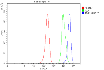 Flow Cytometry analysis of MCF-7 cells using anti-TDP1 antibody. Overlay histogram showing MCF-7 cells stained with (Blue line). To facilitate intracellular staining, cells were fixed with 4% paraformaldehyde and permeabilized with permeabilization buffer. The cells were blocked with 10% normal goat serum. And then incubated with rabbit anti-TDP1 antibody (1 ug/million cells) for 30 min at 20oC. DyLight 488 conjugated goat anti-rabbit IgG (5-10 ug/million cells) was used as secondary antibody for 30 minutes at 20oC. Isotype control antibody (Green line) was rabbit IgG (1 ug/million cells) used under the same conditions. Unlabelled sample without incubation with primary antibody and secondary antibody (Red line) was used as a blank control.