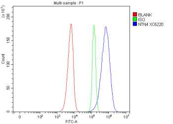 Flow Cytometry analysis of SIHA cells using anti-NTN4 antibody. Overlay histogram showing SIHA cells stained with (Blue line). The cells were fixed with 4% paraformaldehyde and blocked with 10% normal goat serum. And then incubated with rabbit anti-NTN4 antibody (1 ug/million cells) for 30 min at 20oC. DyLight 488 conjugated goat anti-rabbit IgG (5-10 ug/million cells) was used as secondary antibody for 30 minutes at 20oC. Isotype control antibody (Green line) was rabbit IgG (1 ug/million cells) used under the same conditions. Unlabelled sample without incubation with primary antibody and secondary antibody (Red line) was used as a blank control.