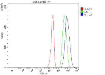 Flow Cytometry analysis of HepG2 cells using anti-NR1D2 antibody. Overlay histogram showing HepG2 cells stained with (Blue line). To facilitate intracellular staining, cells were fixed with 4% paraformaldehyde and permeabilized with permeabilization buffer. The cells were blocked with 10% normal goat serum. And then incubated with rabbit anti-NR1D2 antibody (1 ug/million cells) for 30 min at 20oC. DyLight 488 conjugated goat anti-rabbit IgG (5-10 ug/million cells) was used as secondary antibody for 30 minutes at 20oC. Isotype control antibody (Green line) was rabbit IgG (1 ug/million cells) used under the same conditions. Unlabelled sample (Red line) was also used as a control.