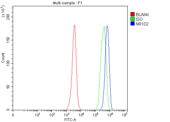 Flow Cytometry analysis of JK cells using anti-NR1D2 antibody. Overlay histogram showing JK cells stained with (Blue line). To facilitate intracellular staining, cells were fixed with 4% paraformaldehyde and permeabilized with permeabilization buffer. The cells were blocked with 10% normal goat serum. And then incubated with rabbit anti-NR1D2 antibody (1 ug/million cells) for 30 min at 20oC. DyLight 488 conjugated goat anti-rabbit IgG (5-10 ug/million cells) was used as secondary antibody for 30 minutes at 20oC. Isotype control antibody (Green line) was rabbit IgG (1 ug/million cells) used under the same conditions. Unlabelled sample (Red line) was also used as a control.