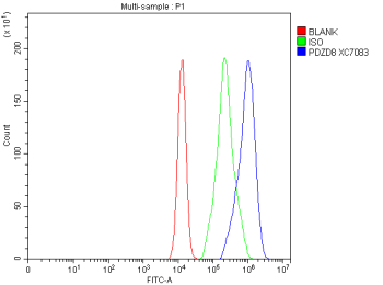 Flow Cytometry analysis of cells using anti-PDZD8 antibody. Overlay histogram showing cells stained with (Blue line). To facilitate intracellular staining, cells were fixed with 4% paraformaldehyde and permeabilized with permeabilization buffer. The cells were blocked with 10% normal goat serum. And then incubated with rabbit anti-PDZD8 antibody (1 ug/million cells) for 30 min at 20oC. DyLight 488 conjugated goat anti-rabbit IgG (5-10 ug/million cells) was used as secondary antibody for 30 minutes at 20oC. Isotype control antibody (Green line) was rabbit IgG (1 ug/million cells) used under the same conditions. Unlabelled sample without incubation with primary antibody and secondary antibody (Red line) was used as a blank control.