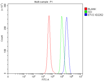 Flow Cytometry analysis of mouse RAW264.7 cells using anti-ETV2 antibody. Overlay histogram showing RAW264.7 cells stained with (Blue line). To facilitate intracellular staining, cells were fixed with 4% paraformaldehyde and permeabilized with permeabilization buffer. The cells were blocked with 10% normal goat serum. And then incubated with rabbit anti-ETV2 antibody (1 ug/million cells) for 30 min at 20oC. DyLight 488 conjugated goat anti-rabbit IgG (5-10 ug/million cells) was used as secondary antibody for 30 minutes at 20oC. Isotype control antibody (Green line) was rabbit IgG (1 ug/million cells) used under the same conditions. Unlabelled sample without incubation with primary antibody and secondary antibody (Red line) was used as a blank control.