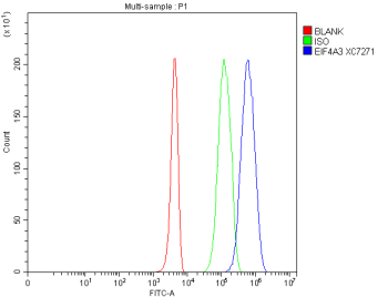 Flow Cytometry analysis of 293T cells using anti-EIF4A3 antibody. Overlay histogram showing 293T cells stained with (Blue line). To facilitate intracellular staining, cells were fixed with 4% paraformaldehyde and permeabilized with permeabilization buffer. The cells were blocked with 10% normal goat serum. And then incubated with rabbit anti-EIF4A3 antibody (1 ug/million cells) for 30 min at 20oC. DyLight 488 conjugated goat anti-rabbit IgG (5-10 ug/million cells) was used as secondary antibody for 30 minutes at 20oC. Isotype control antibody (Green line) was rabbit IgG (1 ug/million cells) used under the same conditions. Unlabelled sample without incubation with primary antibody and secondary antibody (Red line) was used as a blank control.