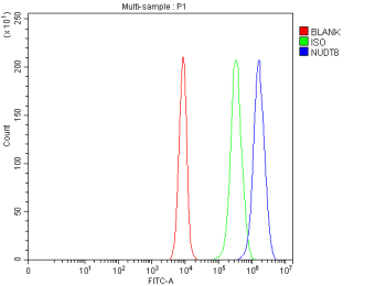 Flow Cytometry analysis of cells using anti-NUDT8 antibody. Overlay histogram showing cells stained with (Blue line). To facilitate intracellular staining, cells were fixed with 4% paraformaldehyde and permeabilized with permeabilization buffer. The cells were blocked with 10% normal goat serum. And then incubated with rabbit anti-NUDT8 antibody (1 ug/million cells) for 30 min at 20oC. DyLight 488 conjugated goat anti-rabbit IgG (5-10 ug/million cells) was used as secondary antibody for 30 minutes at 20oC. Isotype control antibody (Green line) was rabbit IgG (1 ug/million cells) used under the same conditions. Unlabelled sample without incubation with primary antibody and secondary antibody (Red line) was used as a blank control.