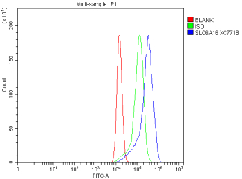 Flow Cytometry analysis of cells using anti-SLC6A16 antibody. Overlay histogram showing human A549 cells stained with (Blue line). The cells were fixed with 4% paraformaldehyde and blocked with 10% normal goat serum. And then incubated with rabbit anti-SLC6A16 antibody (1 ug/million cells) for 30 min at 20oC. DyLight 488 conjugated goat anti-rabbit IgG (5-10 ug/million cells) was used as secondary antibody for 30 minutes at 20oC. Isotype control antibody (Green line) was rabbit IgG (1 ug/million cells) used under the same conditions. Unlabelled sample without incubation with primary antibody and secondary antibody (Red line) was used as a blank control.